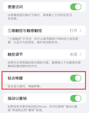 阜新苹果授权维修站分享iPhone轻点无法唤醒怎么办 