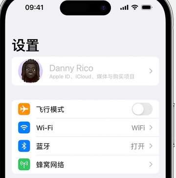 阜新appleID维修服务iPhone设置中Apple ID显示为灰色无法使用