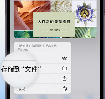 阜新apple维修中心分享iPhone文件应用中存储和找到下载文件