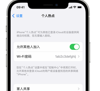 阜新apple服务站点分享iPhone上个人热点丢失了怎么办 