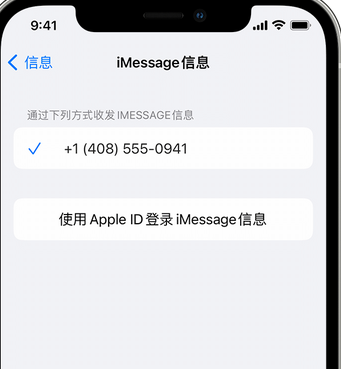 阜新apple维修iPhone上无法正常发送iMessage信息 