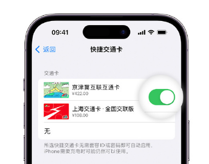 阜新apple维修点分享iPhone上更换Apple Pay快捷交通卡手绘卡面 