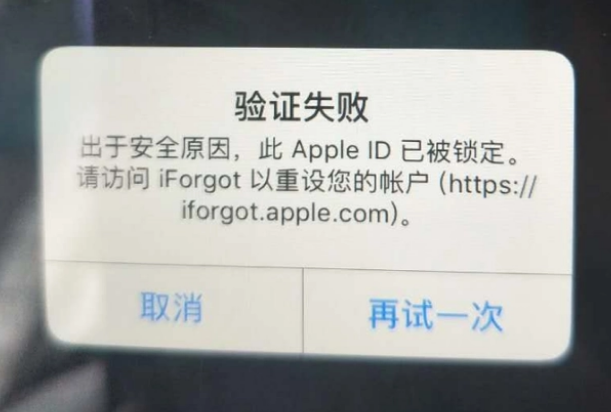 阜新iPhone维修分享iPhone上正常登录或使用AppleID怎么办 