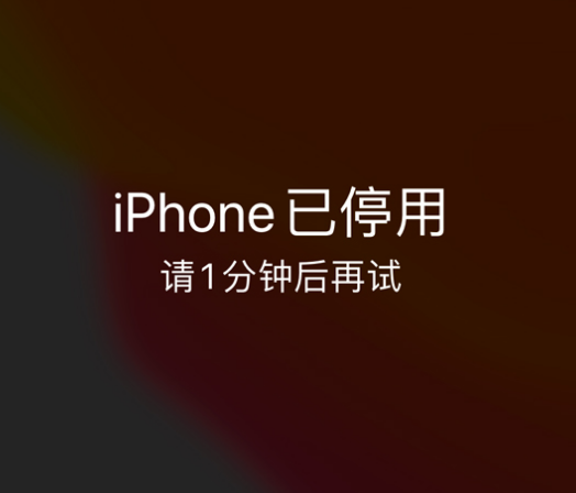 阜新苹果手机维修分享:iPhone 显示“不可用”或“已停用”怎么办？还能保留数据吗？ 