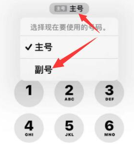 阜新苹果14维修店分享iPhone 14 Pro Max使用副卡打电话的方法 