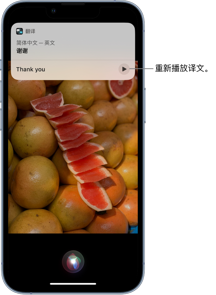 阜新苹果14维修分享 iPhone 14 机型中使用 Siri：了解 Siri 能帮你做什么 