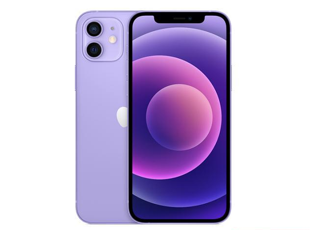 阜新苹果手机维修分享现阶段要不要入手紫色版iPhone12 
