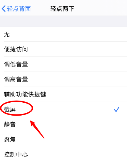 阜新苹果手机维修分享iPhone12如何启用双击截屏 
