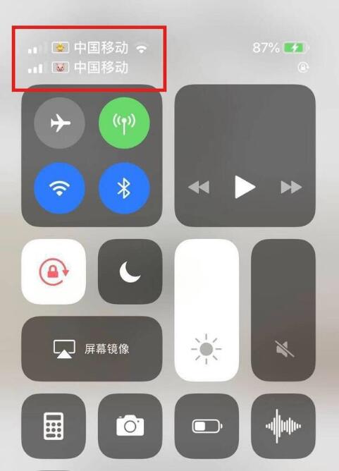 阜新苹果手机维修分享为 iPhone 12 双卡设置标签 